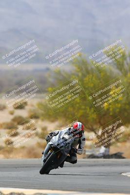 media/Apr-10-2022-SoCal Trackdays (Sun) [[f104b12566]]/Turn 5 Tree of Life (1040am)/